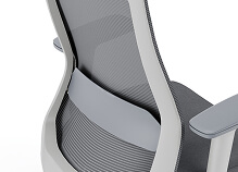 Ergonomic Mesh Backrest